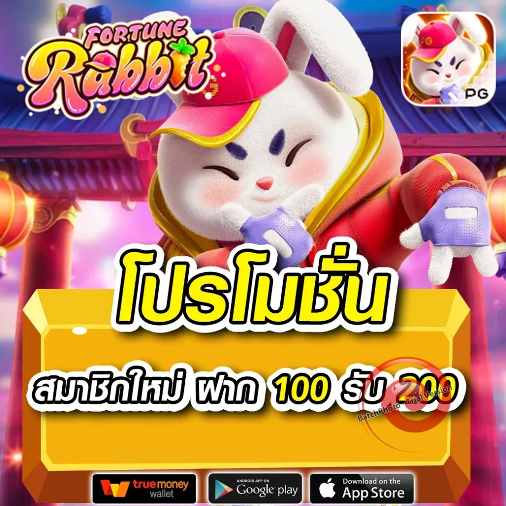 ทางเข้า mabet
